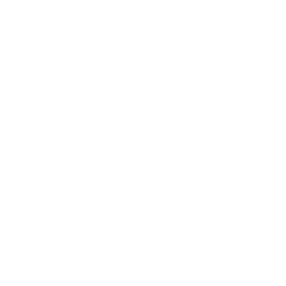 DIJ